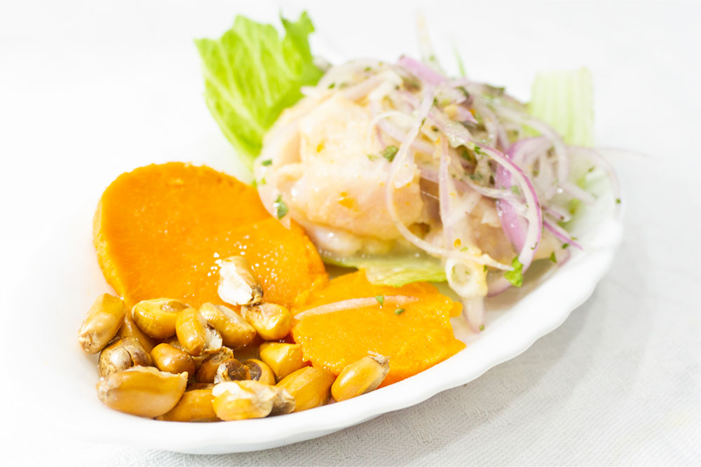 CEVICHE PERUANO SOBRE FONDO BLANCO